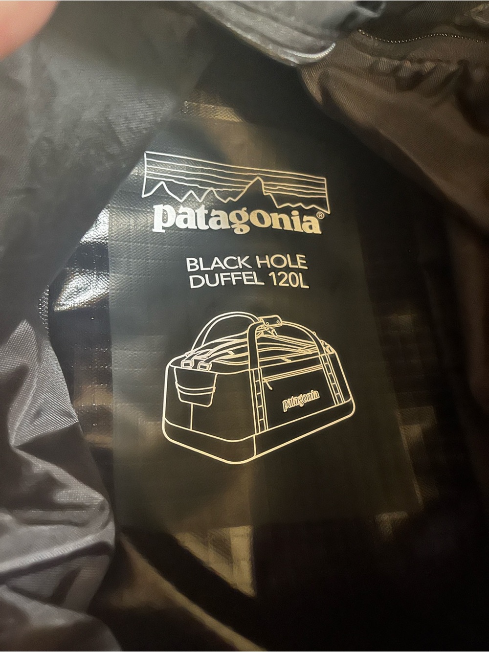 Patagonia Black Hole Duffel 120L - Black